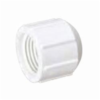 0391 - CAP CAP 3/4IN FNPT SCH 40/STD PVC DOM